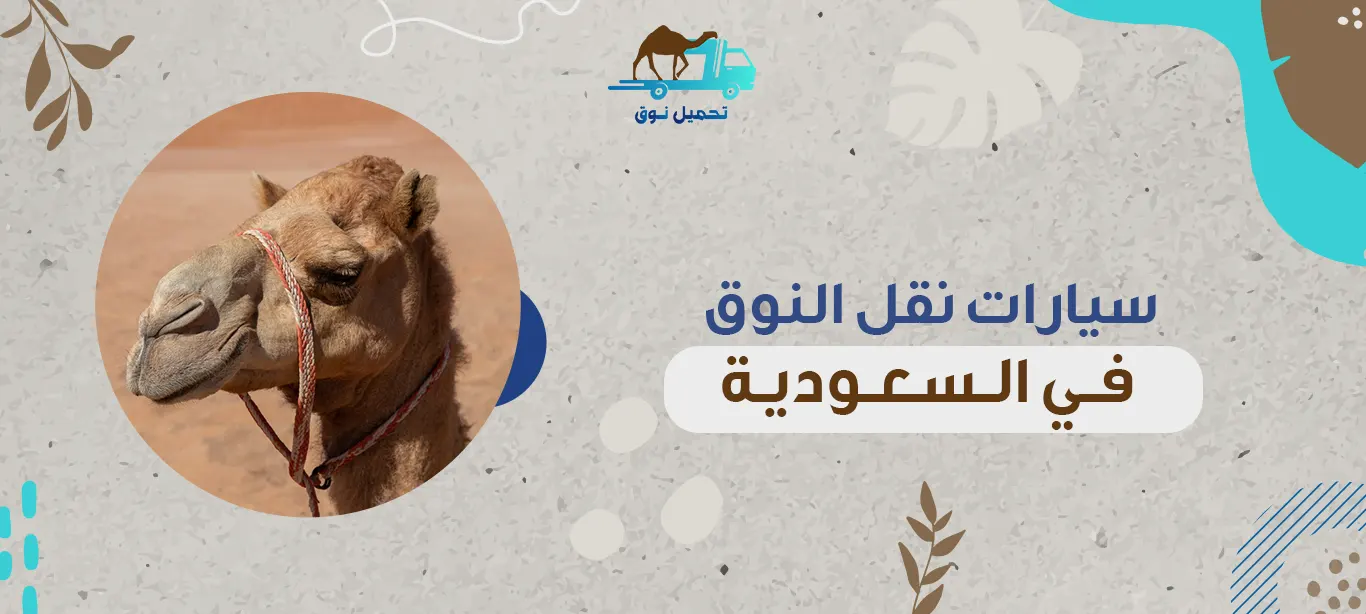 سيارات نقل النوق في السعودية