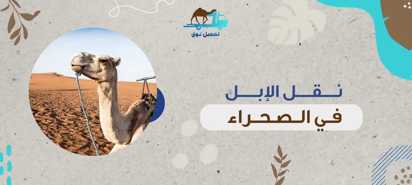 نقل الإبل في الصحراء