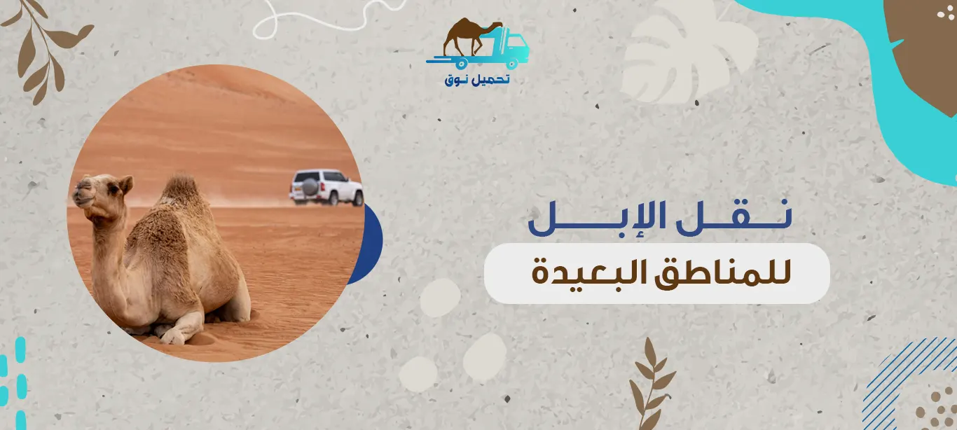 نقل الإبل للمناطق البعيدة