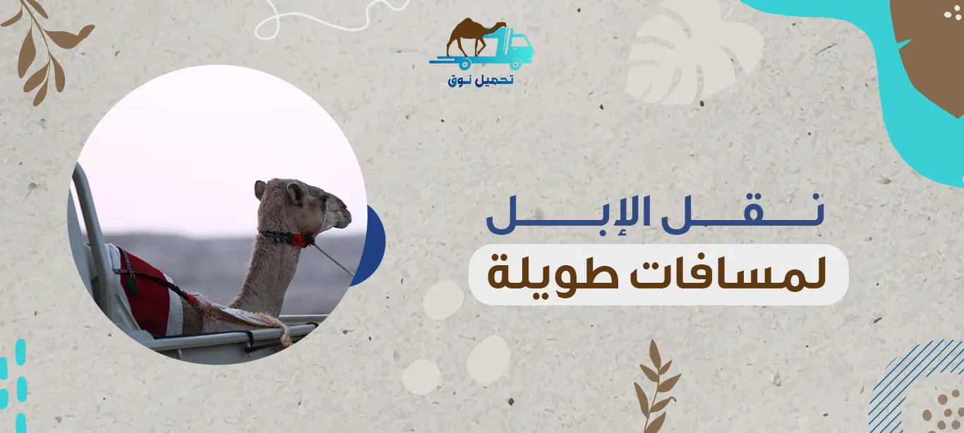 نقل الإبل لمسافات طويلة